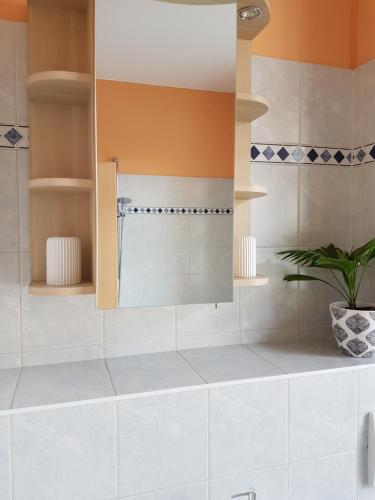 ein Badezimmer mit Waschbecken und Spiegel in der Unterkunft Kleine gemütliche Ferienwohnung in Dresden