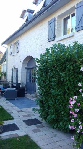 Les Petunias – Photos 3