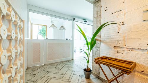 a room with a potted plant on the floor at Duna Hotel Boutique in Peñíscola