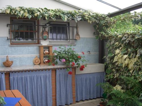 an outdoor bar with plants on the side of a house at B&B SCACCIA PENSIERI in Tarcento