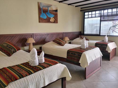 a hotel room with three beds and a window at Arena Blanca Eco Hotel in Puerto Baquerizo Moreno
