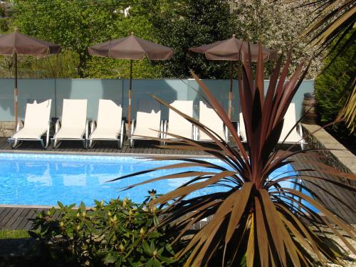 a pool with chairs and umbrellas and a palm tree at Casa D' Joao Enes - Afife Residence in Afife