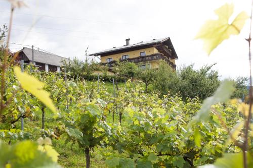 a house on top of a hill with vines at Pleschinhof in Velden am Wörthersee