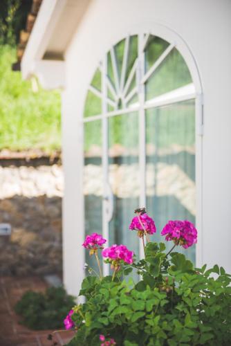 a group of pink flowers in front of a window at Exclusive beautiful pool house surrounded by greenery, modern, luxury finishes in Camaiore