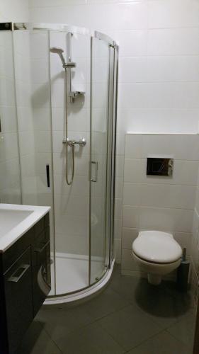 a bathroom with a shower with a toilet and a sink at Uroczysko starych sztolni in Szklarska Poręba