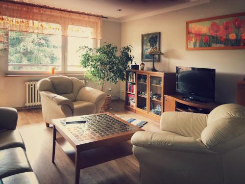 salon z 2 kanapami i telewizorem w obiekcie Apartmán Na sluneční stráni w Trutnovie