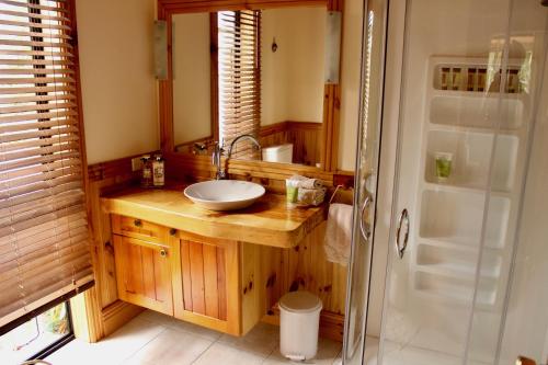 uma casa de banho com um lavatório e um chuveiro em The Cottage Wai Rua em Ruatangata West