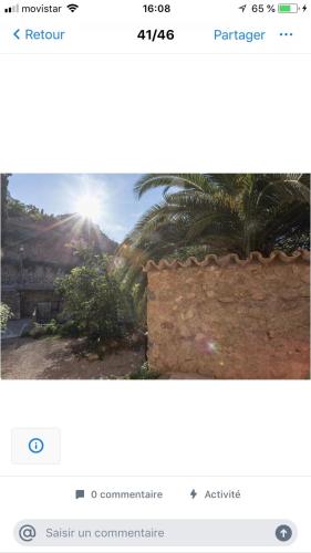 a page of a website with a picture of a palm tree at Font Fresca House ETV 84817 in Deia