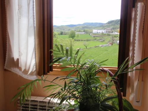 Příroda nedaleko hotelu