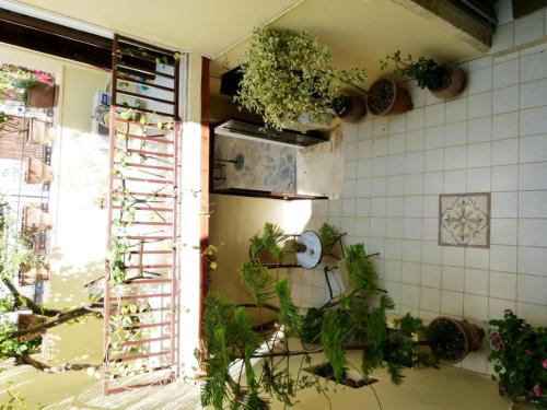 a kitchen with a bunch of plants on the wall at Madonna Studios in Chania Town