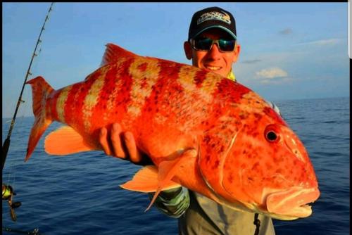 a man holding a large fish in his hand at Darwin Beach Escape Holiday Home in Casuarina