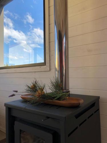 a table with a vase and some plants on it at Norwood Eco Cabañas in Punta Del Diablo