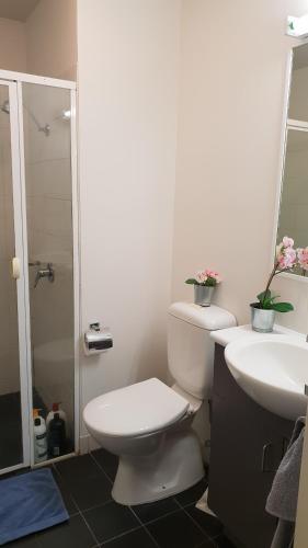 y baño con aseo, lavabo y ducha. en 2 bedrooms CBD FREE Tram apartment (Melb Central, China Town, Queen Victoria Market, Melbourne University, RMIT, etc), en Melbourne