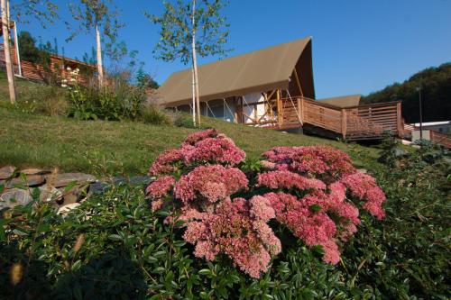 a bush of pink flowers in front of a building at Glamping Sun Valley Bioterme in Mala Nedelja