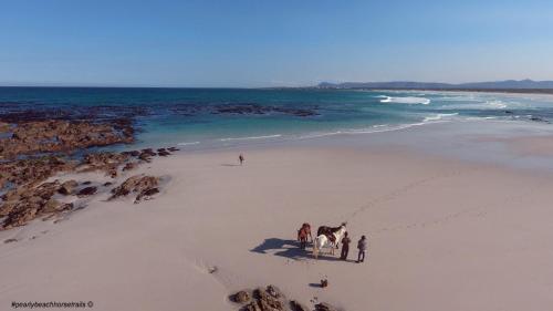 a group of people standing on a beach at Sea Jewel in Pearly Beach