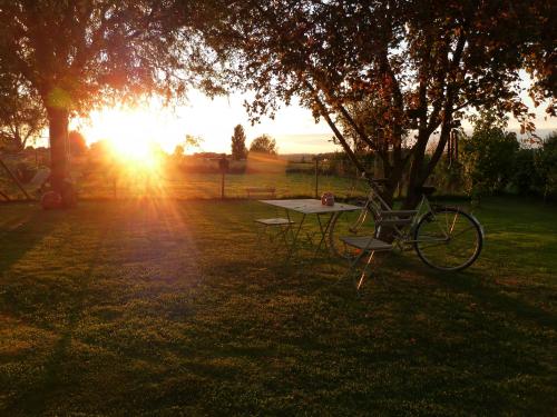 a bike parked next to a table under a tree at Entre monts et collines B&B et spa en option in Mont-de-l'Enclus
