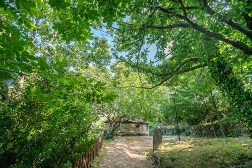 un camino en un parque con árboles y una valla en Chozos Rurales El Solitario en Baños de Montemayor