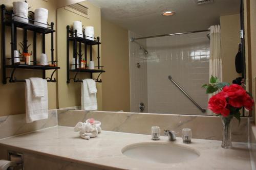 Vonios kambarys apgyvendinimo įstaigoje Ramada by Wyndham Viscount Suites Tucson East