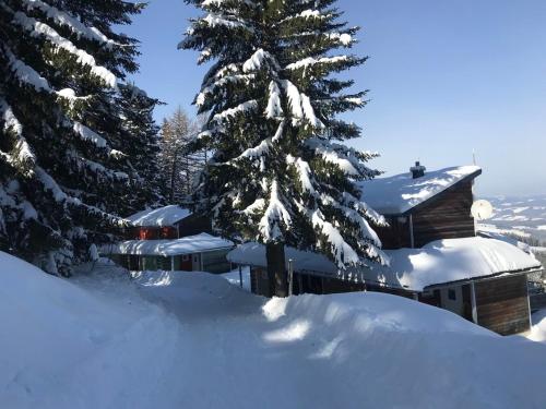 a snow covered pine tree next to a building at Chalet Hebalm in Pack