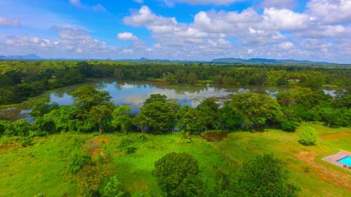 an aerial view of a river with trees at Sigiriya Peacock Homestay in Sigiriya