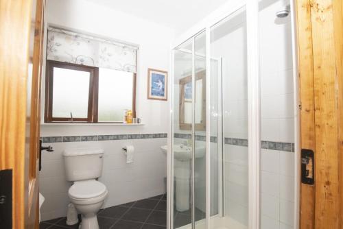 La salle de bains est pourvue de toilettes et d'un lavabo. dans l'établissement Poppyfield House, Kenmare, à Kenmare