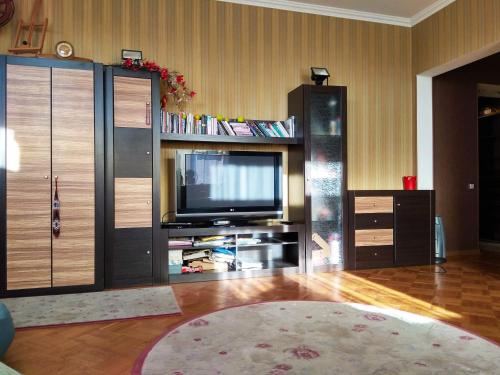 a living room with a tv and a entertainment center at Alabama Mama in Kyiv