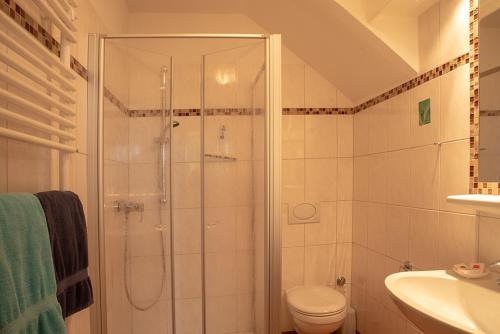 a bathroom with a shower and a toilet and a sink at Pension Thieshof in Amelinghausen