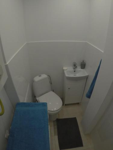 サンドミエシュにあるMieszkanie w centrumの小さなバスルーム(トイレ、シンク付)
