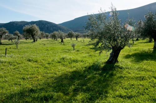 Φυσικό τοπίο κοντά σε αυτό το bed & breakfast