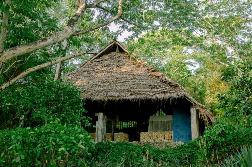a hut with a thatched roof in a forest at Chole Mjini Treehouses Lodge in Utende