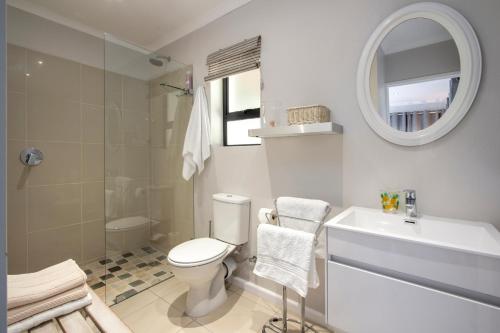 a bathroom with a toilet and a sink and a mirror at Protea & Pincushion Cottages in Hermanus