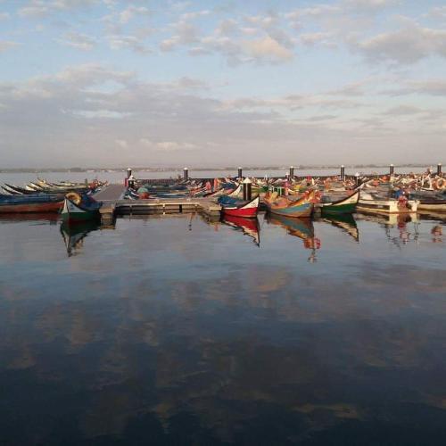 a group of boats sitting in the water at Moliceiros Torreira in Torreira