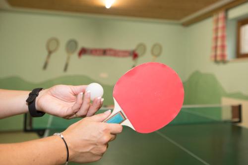 a person holding a red ping pong racket at Appartement Schneeberger in Zell am Ziller