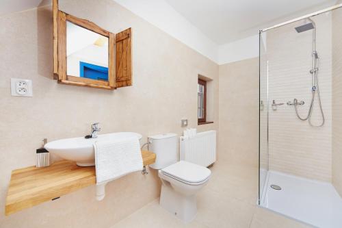 a bathroom with a toilet and a sink and a shower at Vltavská pohádka in Český Krumlov