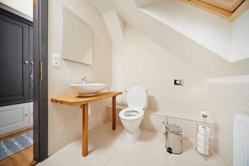 a bathroom with a sink and a toilet at Vltavská pohádka in Český Krumlov
