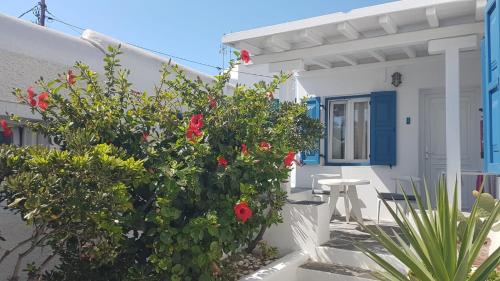 Gallery image of Gelos House in Ornos