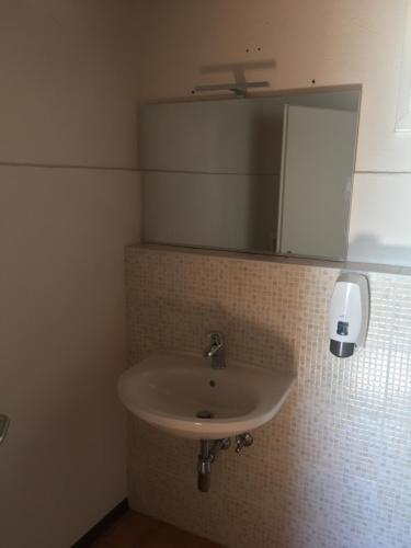 a white sink in a bathroom with a mirror at Albergo Ristorante Belcantone in Novaggio