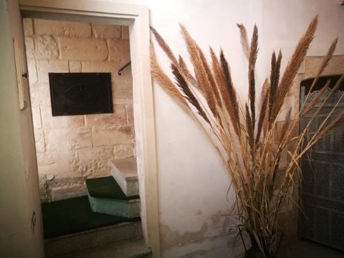 a hallway with a plant next to a wall at La Cartapesta in Lecce