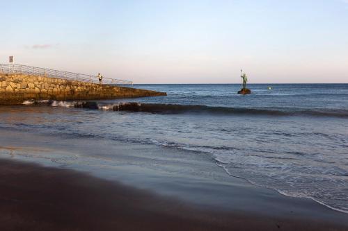a statue in the ocean next to a pier at Apartamento a pie de playa in Melenara