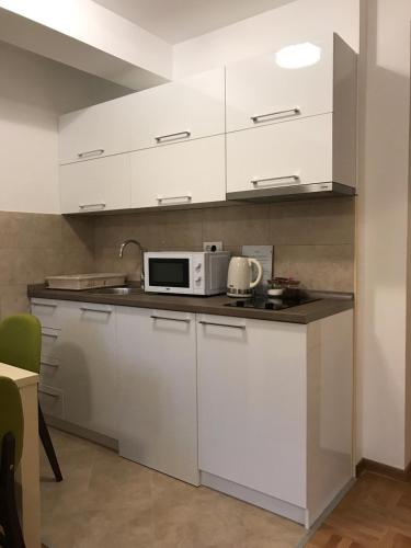Una cocina o zona de cocina en Zlatibor apartmani Jakovljevic