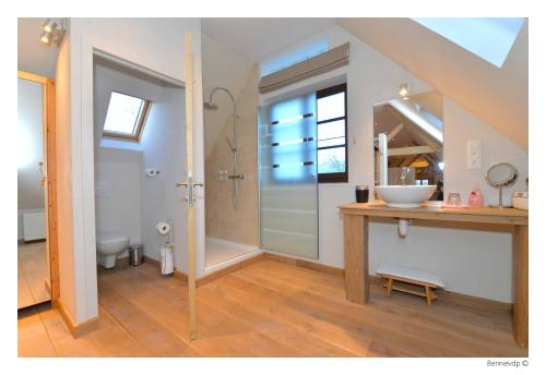 een badkamer met een wastafel, een douche en een toilet bij Geetkotmolenhoeve in Lochristi