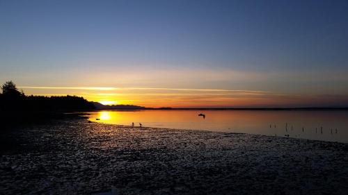 a sunset on a beach with a bird in the water at Dungeness Barn House Bed and Breakfast at Two Crows Farm in Sequim