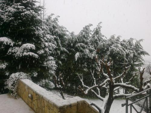 Six Steps From The Forest en invierno