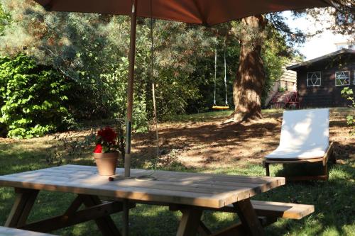 Κήπος έξω από το L'Enchantraine - gîte tout confort et tarif tout inclus - appartement spacieux et accueillant sur Epinal