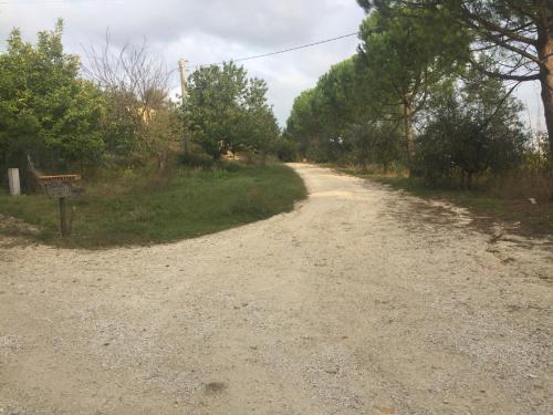 Φυσικό τοπίο κοντά σε αυτό το κατάλυμα σε φάρμα