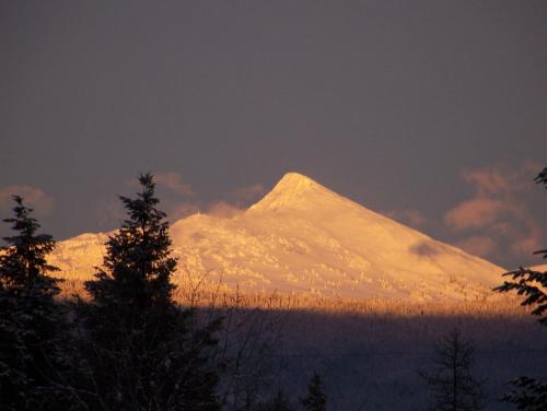 a snow covered mountain in the distance with trees at Woodcrest Bed and Breakfast in Clearwater