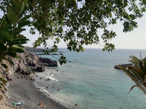 a view of the beach from a tree at Janias Alcalà Apartment in Alcalá