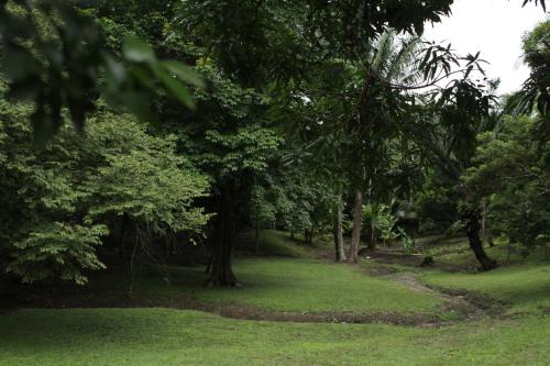 un parque con césped verde, árboles y un camino en Hostel Guayacan en Puerto Armuelles