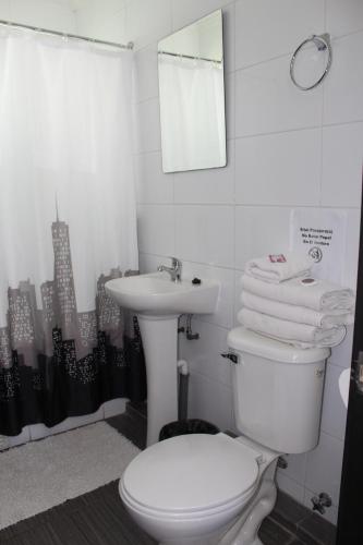 a bathroom with a white toilet and a sink at Hotel Maquehue in Concepción