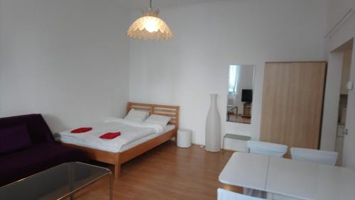 ウィーンにあるStudio Apartment Stadthalleのベッド、ソファ、テーブルが備わる客室です。